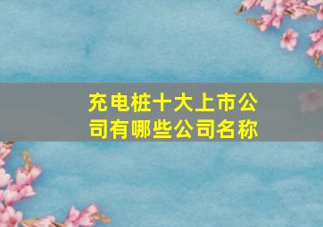 充电桩十大上市公司有哪些公司名称