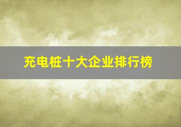 充电桩十大企业排行榜