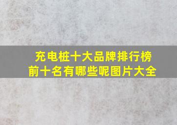 充电桩十大品牌排行榜前十名有哪些呢图片大全