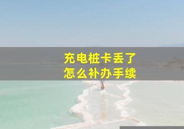 充电桩卡丢了怎么补办手续