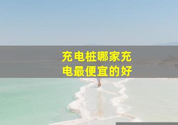 充电桩哪家充电最便宜的好