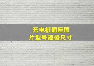 充电桩插座图片型号规格尺寸