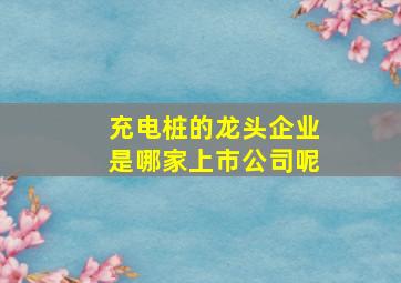 充电桩的龙头企业是哪家上市公司呢