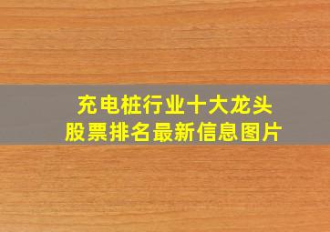 充电桩行业十大龙头股票排名最新信息图片