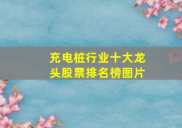 充电桩行业十大龙头股票排名榜图片