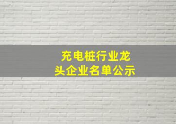 充电桩行业龙头企业名单公示