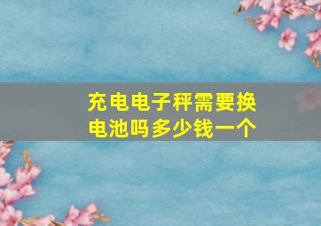 充电电子秤需要换电池吗多少钱一个