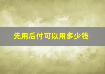 先用后付可以用多少钱