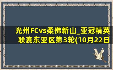 光州FCvs柔佛新山_亚冠精英联赛东亚区第3轮(10月22日)全场集锦