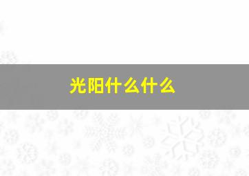 光阳什么什么