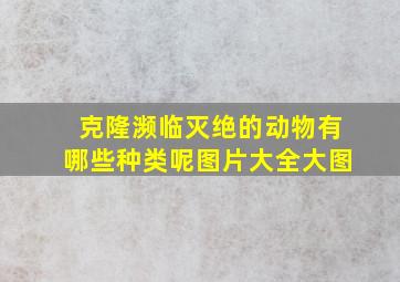 克隆濒临灭绝的动物有哪些种类呢图片大全大图