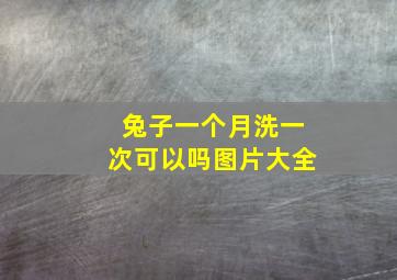 兔子一个月洗一次可以吗图片大全