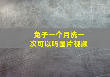 兔子一个月洗一次可以吗图片视频