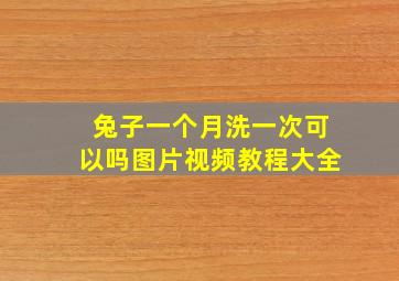 兔子一个月洗一次可以吗图片视频教程大全