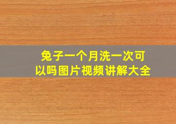 兔子一个月洗一次可以吗图片视频讲解大全