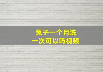 兔子一个月洗一次可以吗视频