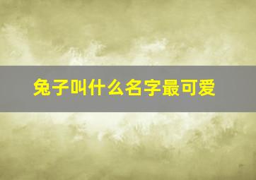 兔子叫什么名字最可爱