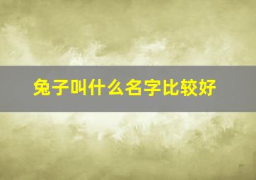 兔子叫什么名字比较好