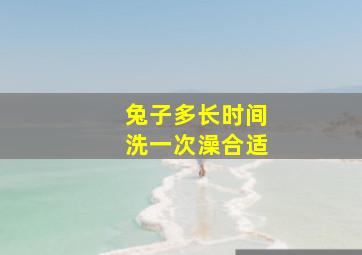 兔子多长时间洗一次澡合适