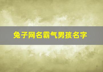 兔子网名霸气男孩名字