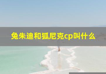 兔朱迪和狐尼克cp叫什么