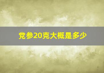 党参20克大概是多少