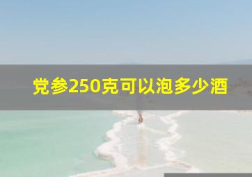 党参250克可以泡多少酒