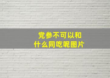 党参不可以和什么同吃呢图片