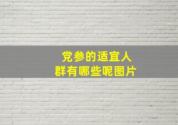 党参的适宜人群有哪些呢图片