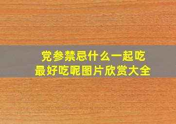 党参禁忌什么一起吃最好吃呢图片欣赏大全