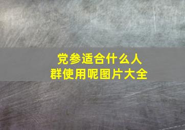 党参适合什么人群使用呢图片大全