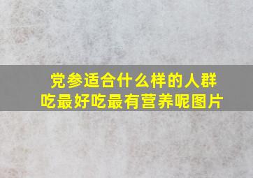 党参适合什么样的人群吃最好吃最有营养呢图片