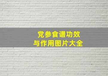 党参食谱功效与作用图片大全