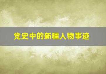 党史中的新疆人物事迹