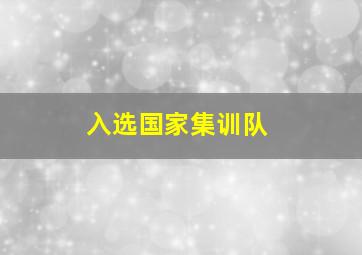 入选国家集训队