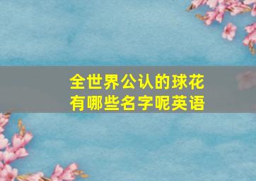 全世界公认的球花有哪些名字呢英语