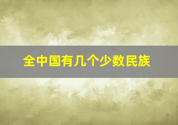 全中国有几个少数民族