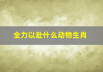 全力以赴什么动物生肖