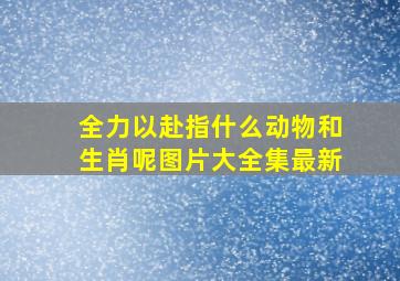 全力以赴指什么动物和生肖呢图片大全集最新