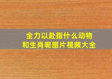 全力以赴指什么动物和生肖呢图片视频大全