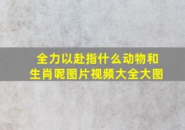 全力以赴指什么动物和生肖呢图片视频大全大图