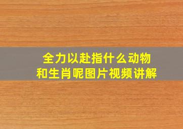 全力以赴指什么动物和生肖呢图片视频讲解