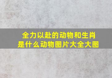 全力以赴的动物和生肖是什么动物图片大全大图