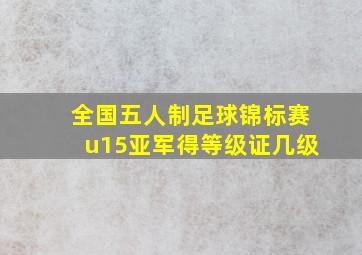 全国五人制足球锦标赛u15亚军得等级证几级