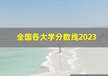 全国各大学分数线2023