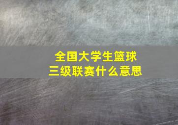 全国大学生篮球三级联赛什么意思