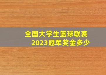 全国大学生篮球联赛2023冠军奖金多少