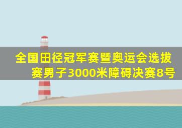 全国田径冠军赛暨奥运会选拔赛男子3000米障碍决赛8号