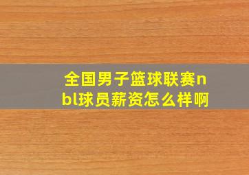 全国男子篮球联赛nbl球员薪资怎么样啊