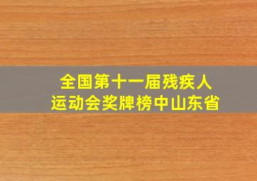 全国第十一届残疾人运动会奖牌榜中山东省